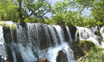 Puzzle 1851 - Chute - Nuorilang