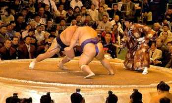 Puzzle 1852 - Sumo - Japon