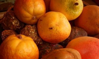 Puzzle Corbeille de fruits