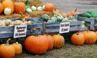 Puzzle Courges de saison