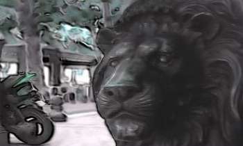 Puzzle 1922 - Un lion dans la ville