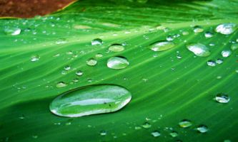 Puzzle Gouttes d'eau