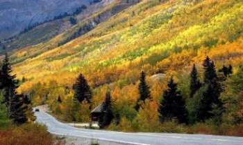 Puzzle 1956 - Route d'Automne