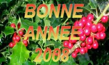 Puzzle 1980 - Houx Porte-Bonheur