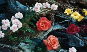 Puzzle 2005 - Au pied d'une fontaine