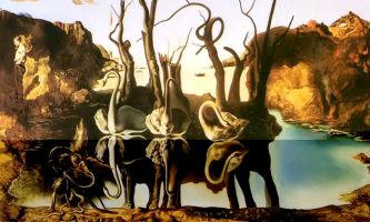 Puzzle Dali - trompe l'oeil