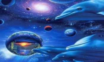 Puzzle 2165 - Univers pour Dauphins