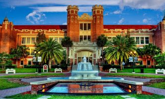 Puzzle Université - Floride