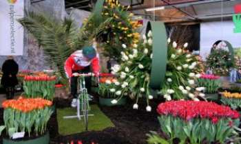 Puzzle 2179 - Le cyclisme