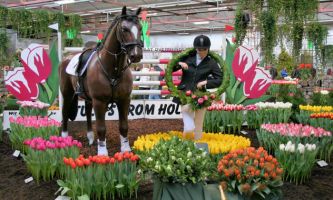 Puzzle Sport hyppique
