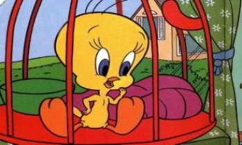 Puzzle 2193 - Titi en cage