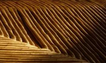 Puzzle 2211 - Paille de chaise