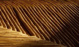 Puzzle Paille de chaise