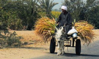 Puzzle Louqsor - Egypte