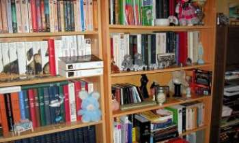 Puzzle 2240 - Livres et bibelots