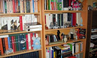 Puzzle Livres et bibelots