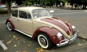 Puzzle 2274 - Collectible - Beetle