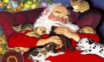 Puzzle 2322 - Sieste du Père Noël