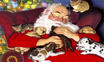 Puzzle Sieste du Père Noël