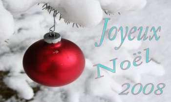 Puzzle 2323 - Joyeux Noël 20008
