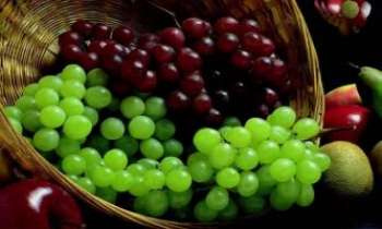 Puzzle 2357 - Corbeille de raisins
