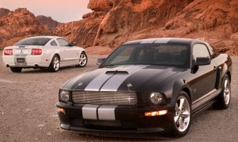 Puzzle Shelby GT