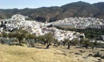 Puzzle 2475 - Moulay Idris - Maroc
