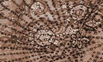 Puzzle 2483 - Dentelle