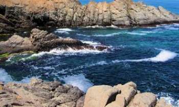 Puzzle 2486 - Côtes Rocheuses