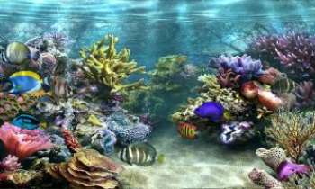 Puzzle 2632 - Au fond des mers