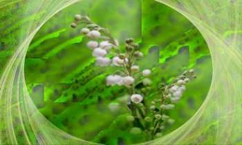 Puzzle 2655 - Muguet charmeur