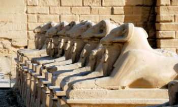 Puzzle 2663 - Allée des Sphinx - Karnak