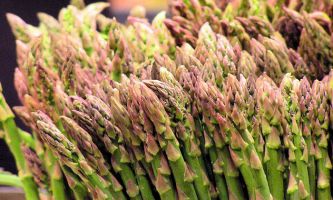Puzzle Asperges vertes