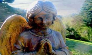 Puzzle 2717 - Un ange veille