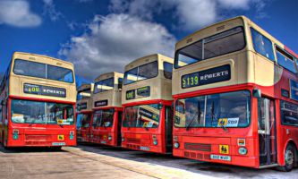 Puzzle Bus anglais