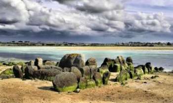 Puzzle 2722 - Baie du Kernic