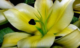 Puzzle Coeur de fleur