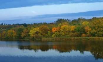 Puzzle 2754 - Reflet d'Automne