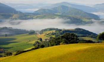 Puzzle 2770 - Brume au petit matin