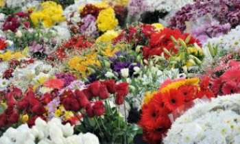 Puzzle 2800 - Chez le fleuriste