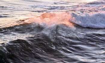 Puzzle 2941 - Vague de surf