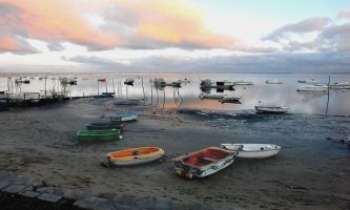 Puzzle 2962 - Arcachon - barques