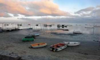 Puzzle 2998 - En baie d'Arcachon