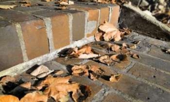 Puzzle 3022 - Feuilles - Briques