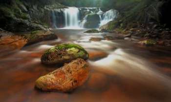 Puzzle 3033 - Halls Falls - Tasmanie