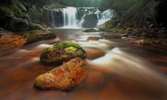 Puzzle Halls Falls - Tasmanie
