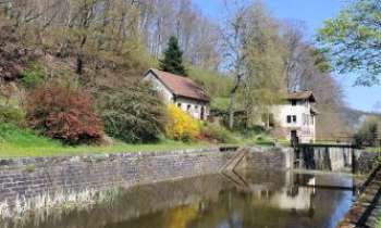 Puzzle 3100 - Ancien moulin