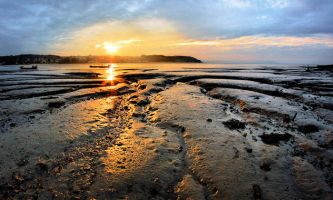 Puzzle Soleil dans l'eau
