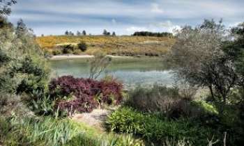 Puzzle 3125 - Belle-Ile-en-mer