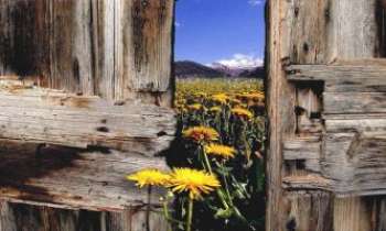 Puzzle 3145 - L'été au Canada